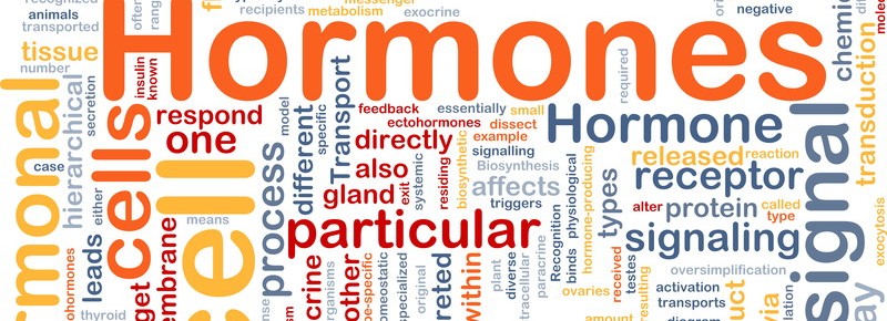 hormone-replacement-boca-raton-fl
